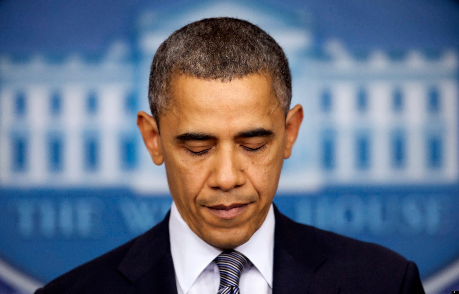 Mid-term 2014: Obama sotto attacco: intervista a R. Baritono