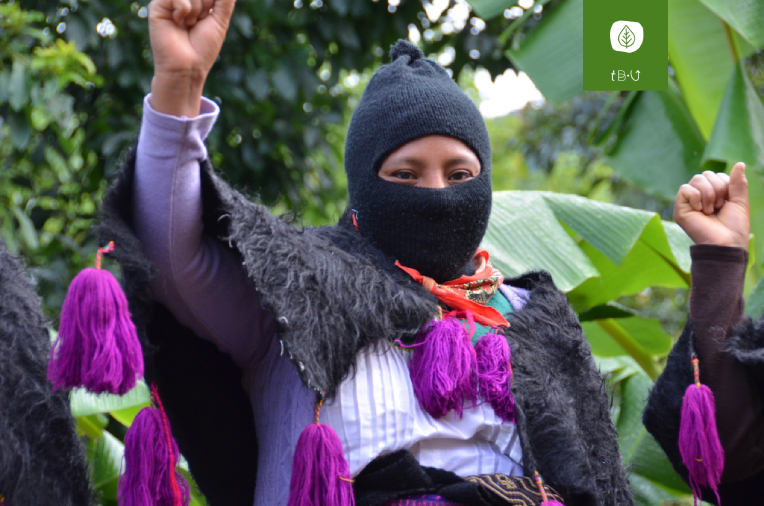 Ecofemminismo. Donne in lotta contro lo sfruttamento della terra