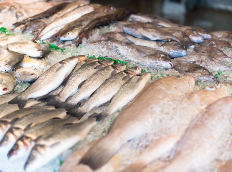 pesce supermercato - freepik -the bottomup.itjpg