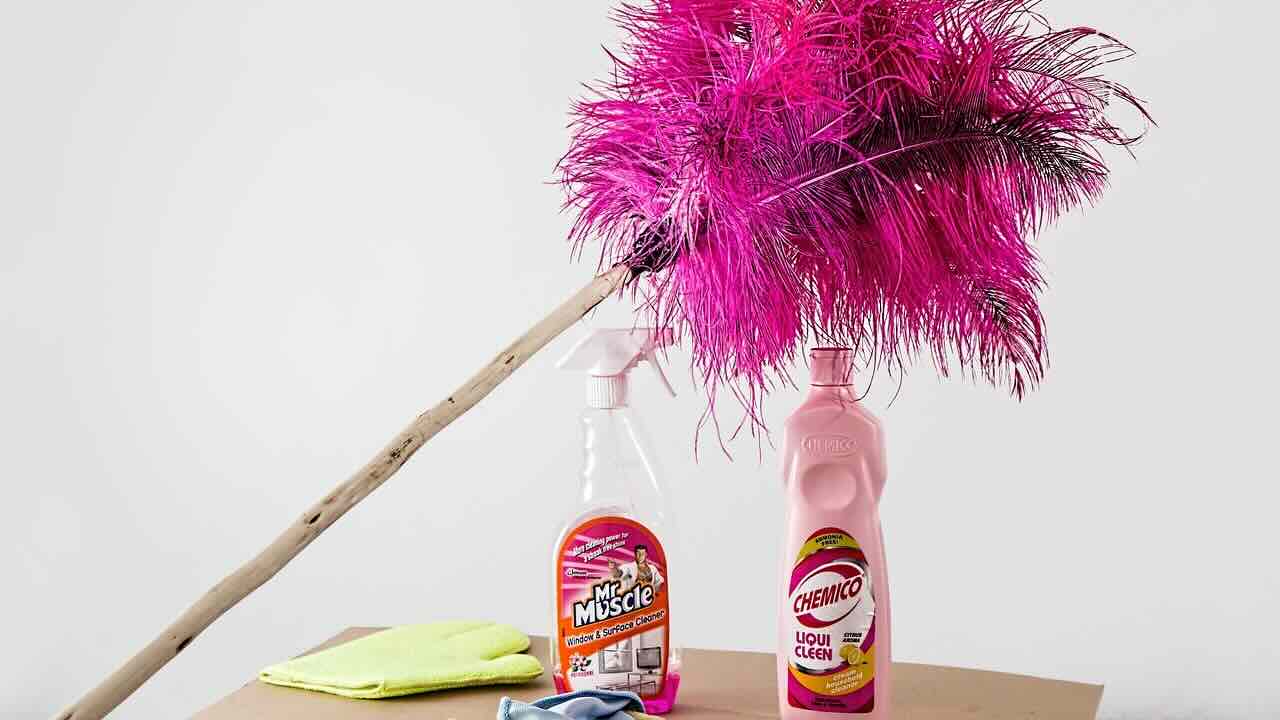 Pulizia - Thebottomup