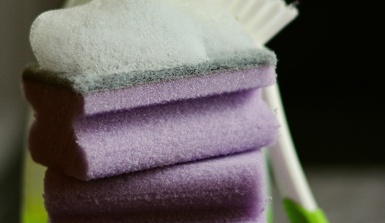 Spugne - thebottomup